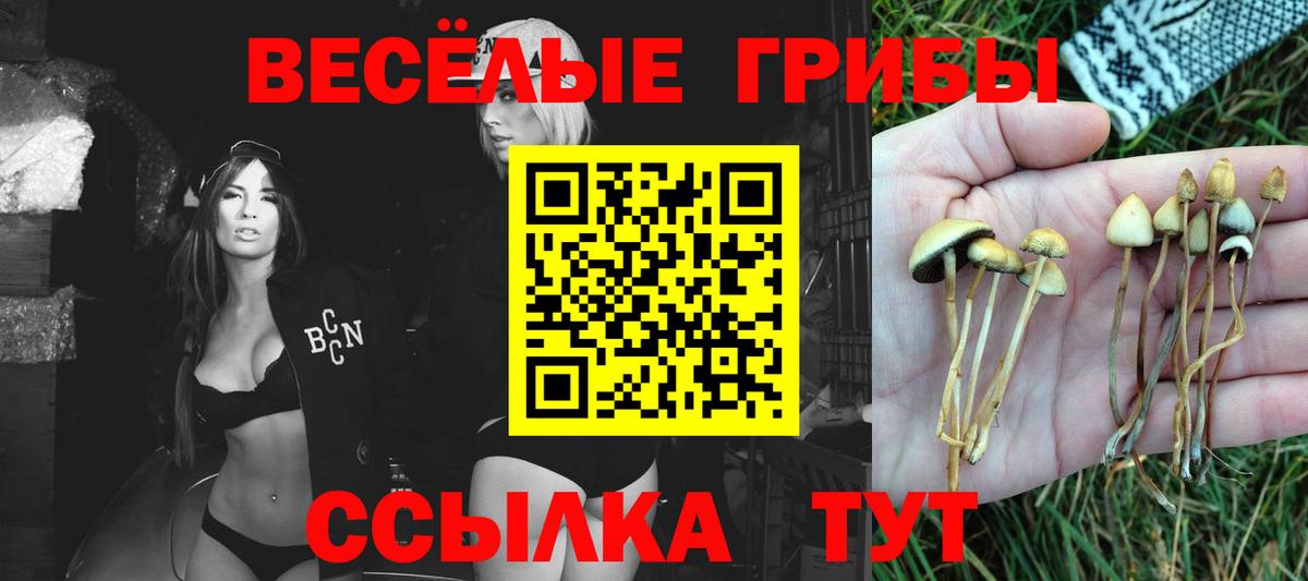 Балашиха  Псилоцибиновые грибы Magic Shrooms  Галлюциногенные грибы мухоморы  Вход с VPN 